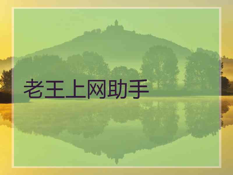 老王上网助手