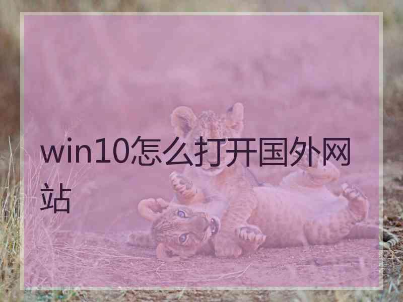 win10怎么打开国外网站