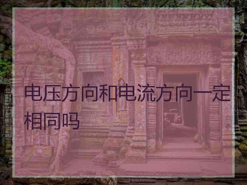 电压方向和电流方向一定相同吗