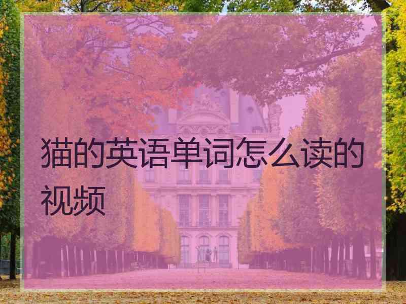 猫的英语单词怎么读的视频