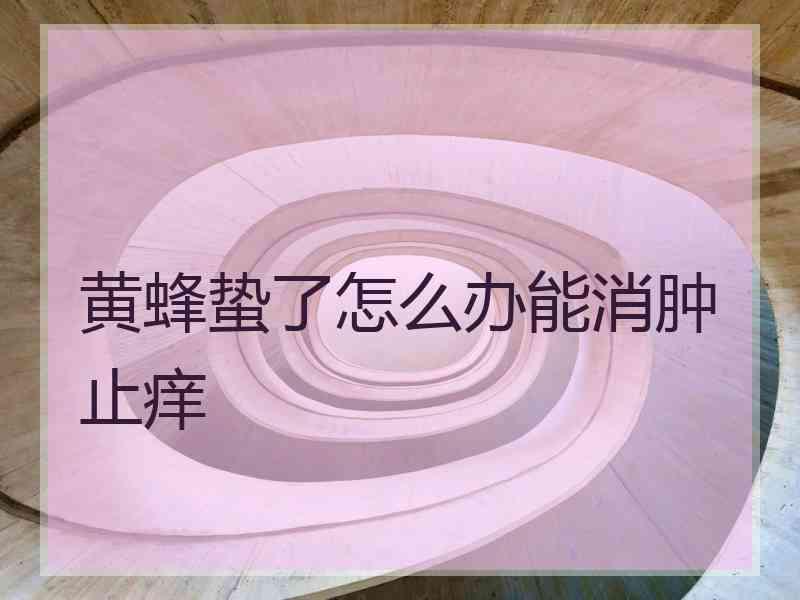 黄蜂蛰了怎么办能消肿止痒