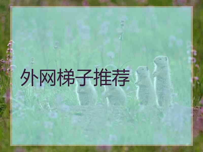外网梯子推荐