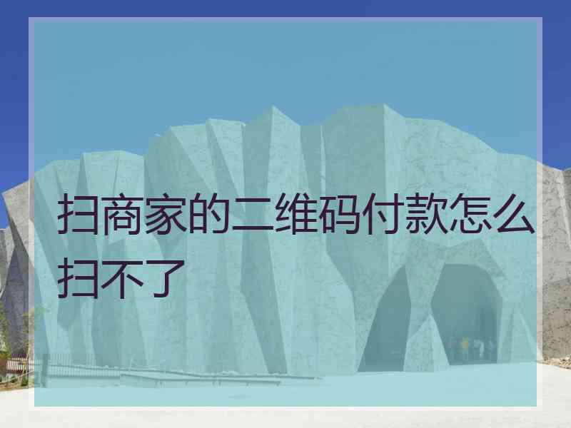 扫商家的二维码付款怎么扫不了