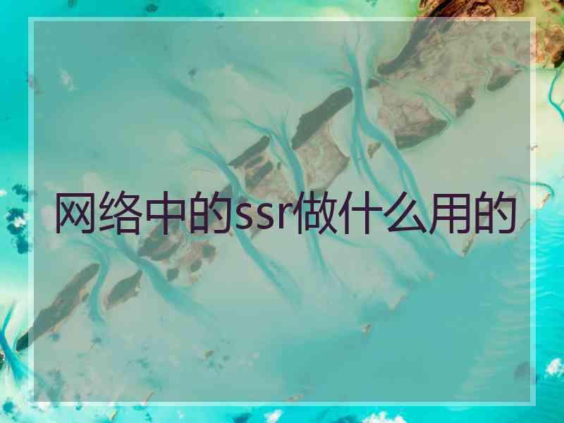 网络中的ssr做什么用的