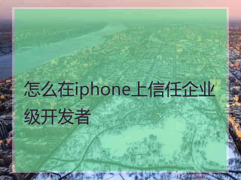 怎么在iphone上信任企业级开发者