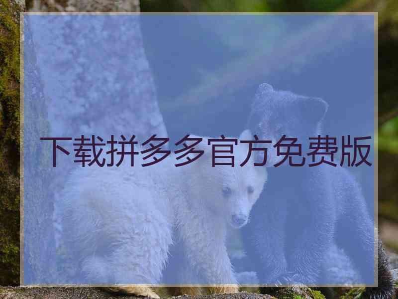 下载拼多多官方免费版