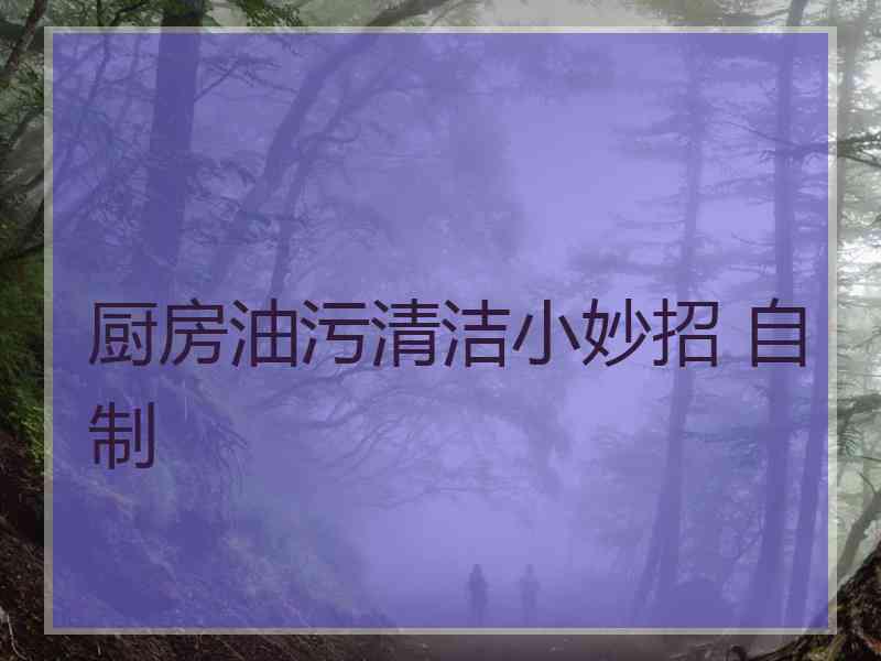厨房油污清洁小妙招 自制