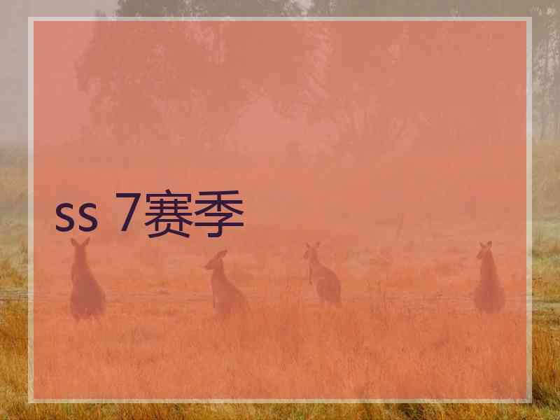 ss 7赛季