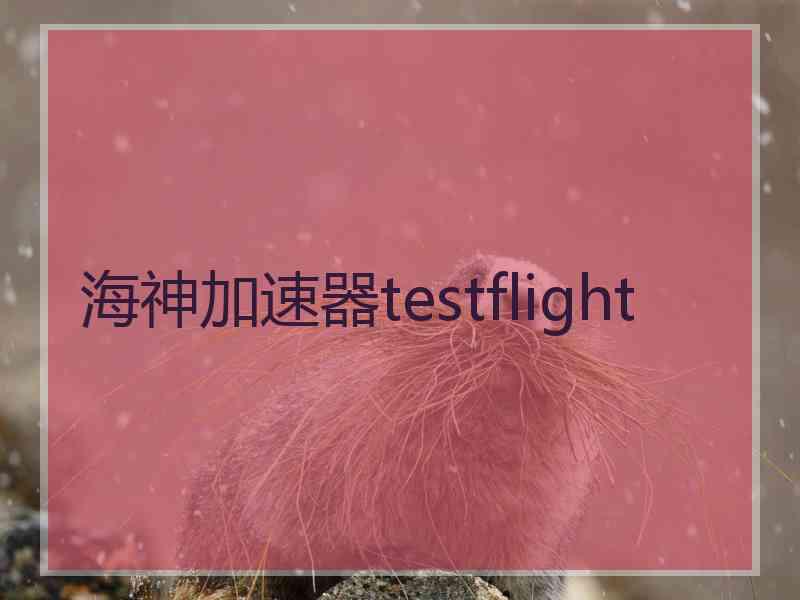 海神加速器testflight