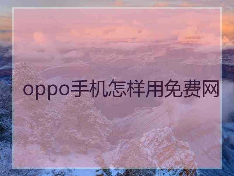 oppo手机怎样用免费网