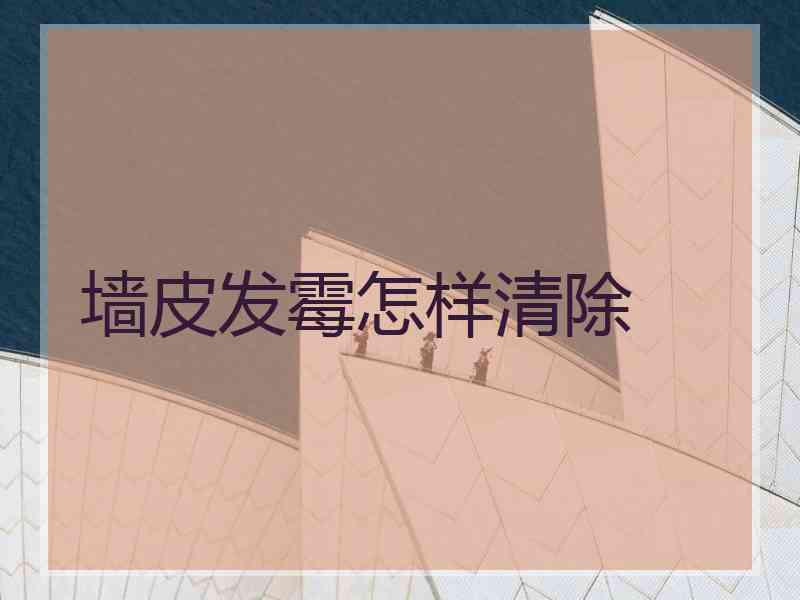 墙皮发霉怎样清除