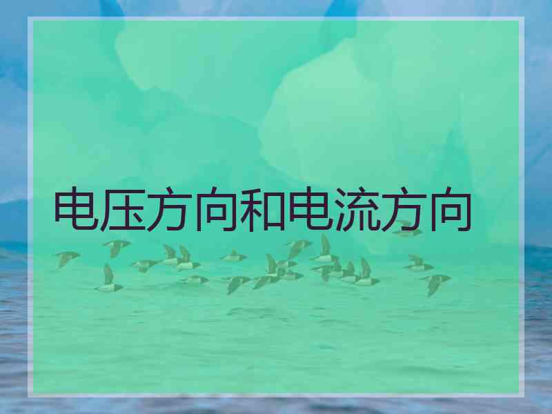 电压方向和电流方向