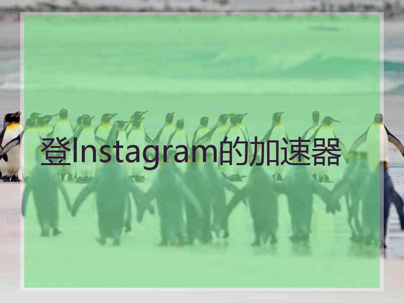 登lnstagram的加速器