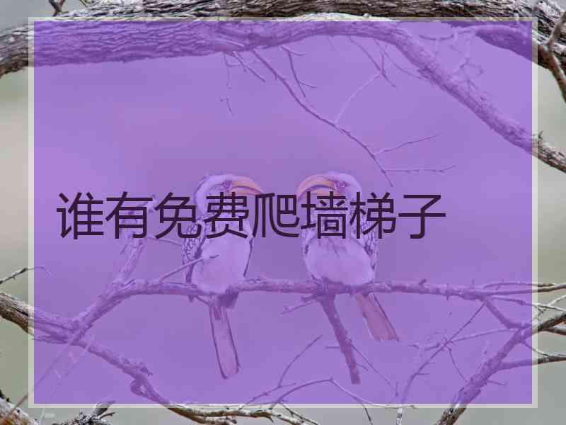 谁有免费爬墙梯子