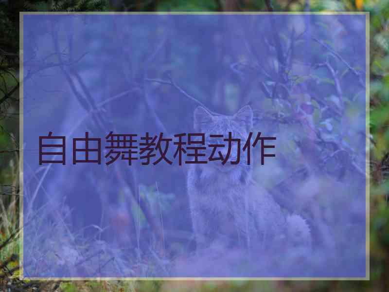 自由舞教程动作