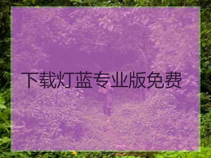 下载灯蓝专业版免费
