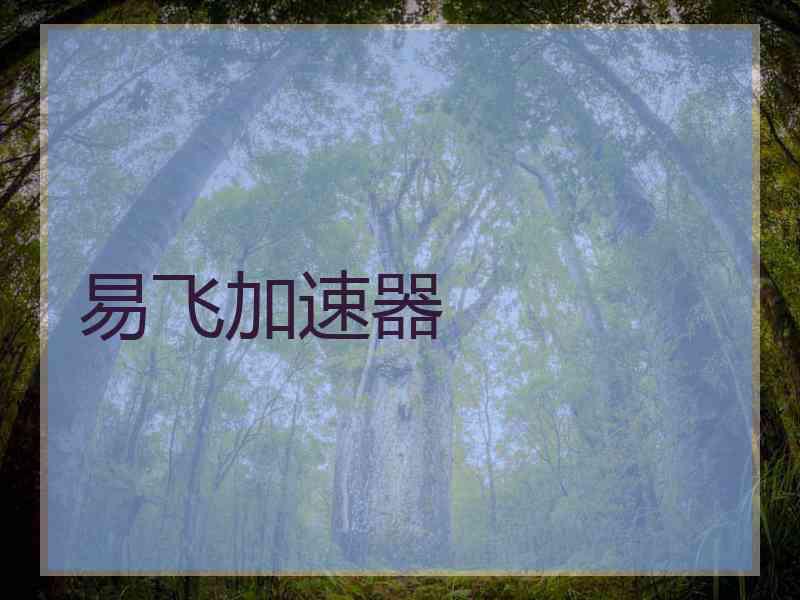 易飞加速器