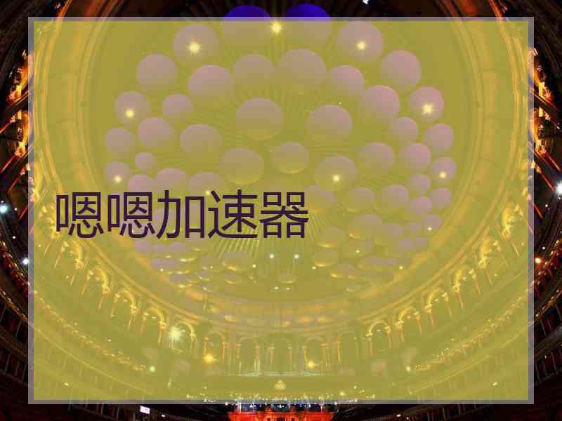 嗯嗯加速器