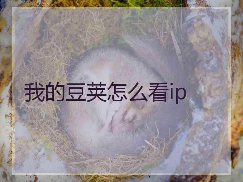 我的豆荚怎么看ip