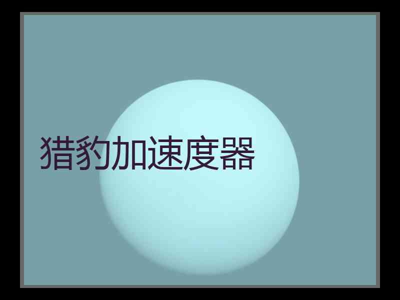 猎豹加速度器