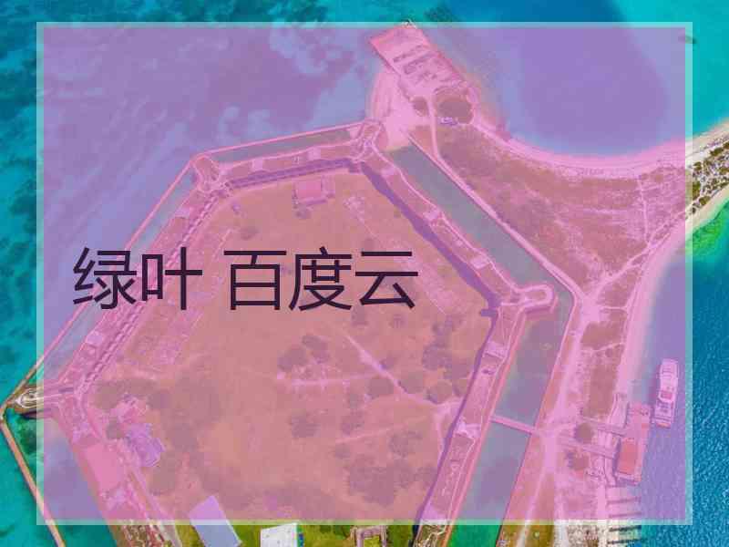 绿叶 百度云