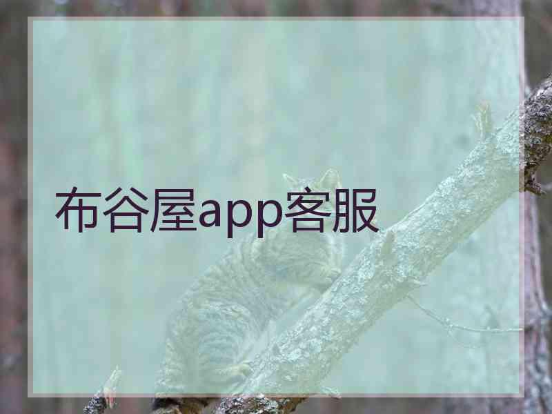 布谷屋app客服