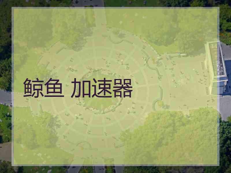 鲸鱼 加速器