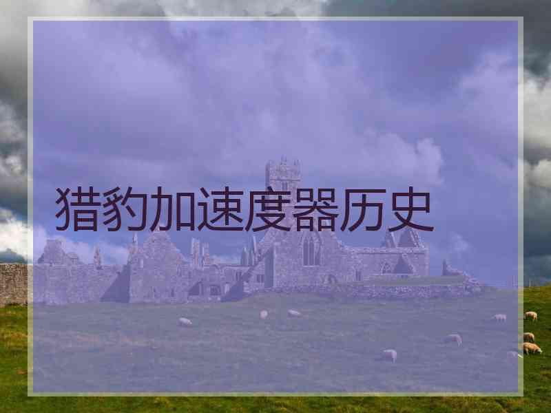 猎豹加速度器历史
