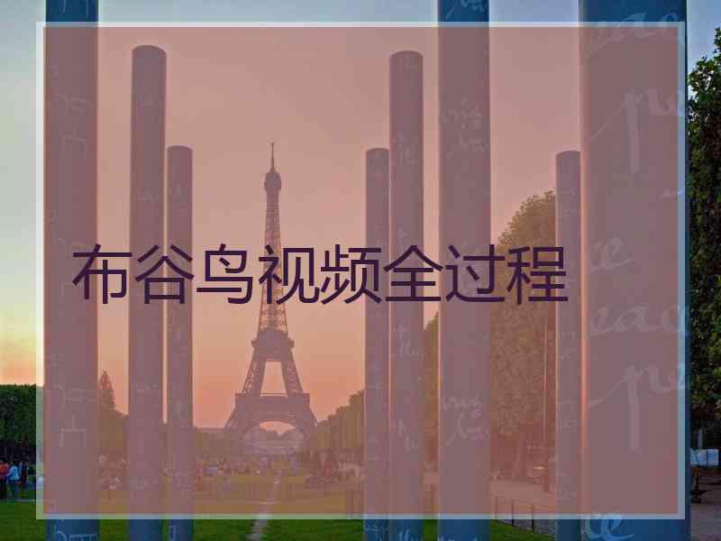 布谷鸟视频全过程
