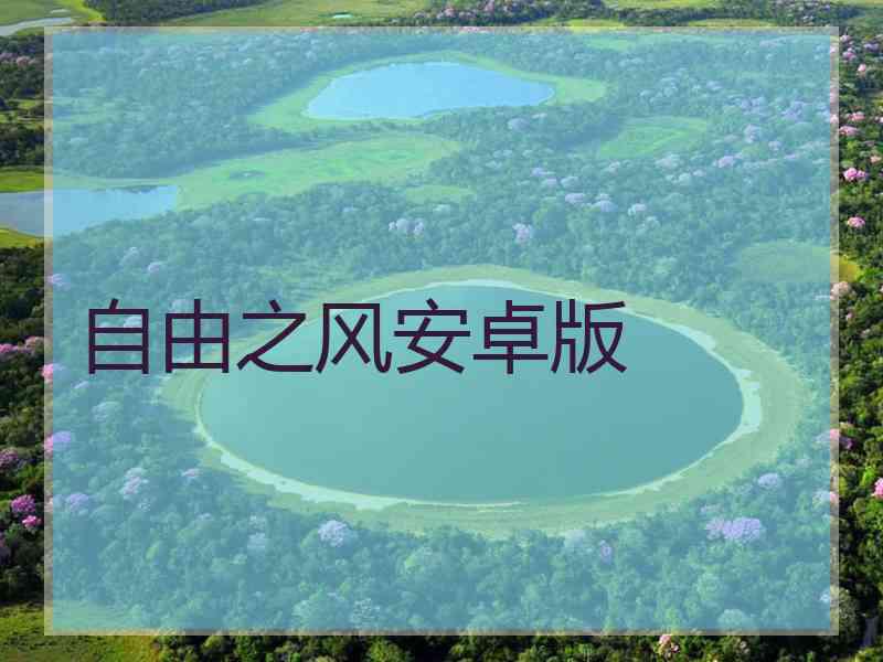 自由之风安卓版