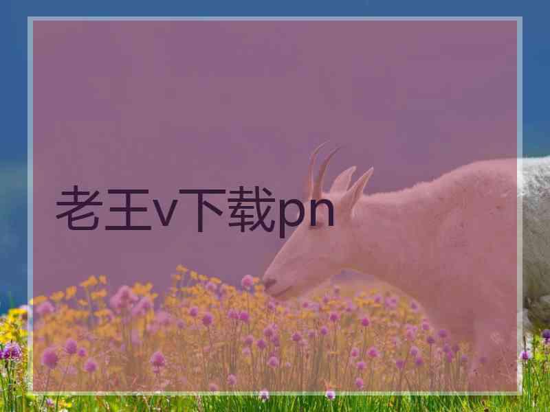 老王v下载pn