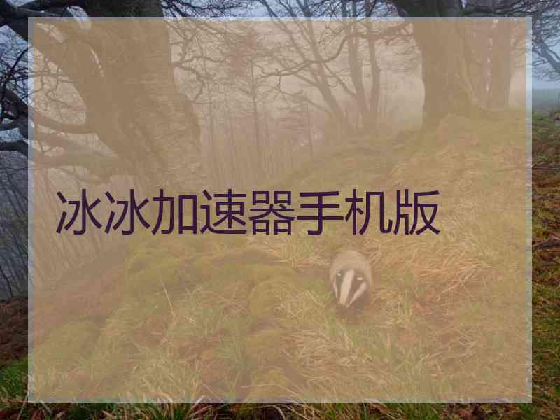 冰冰加速器手机版