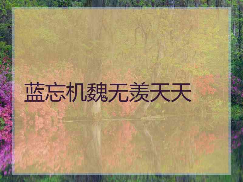 蓝忘机魏无羡天天