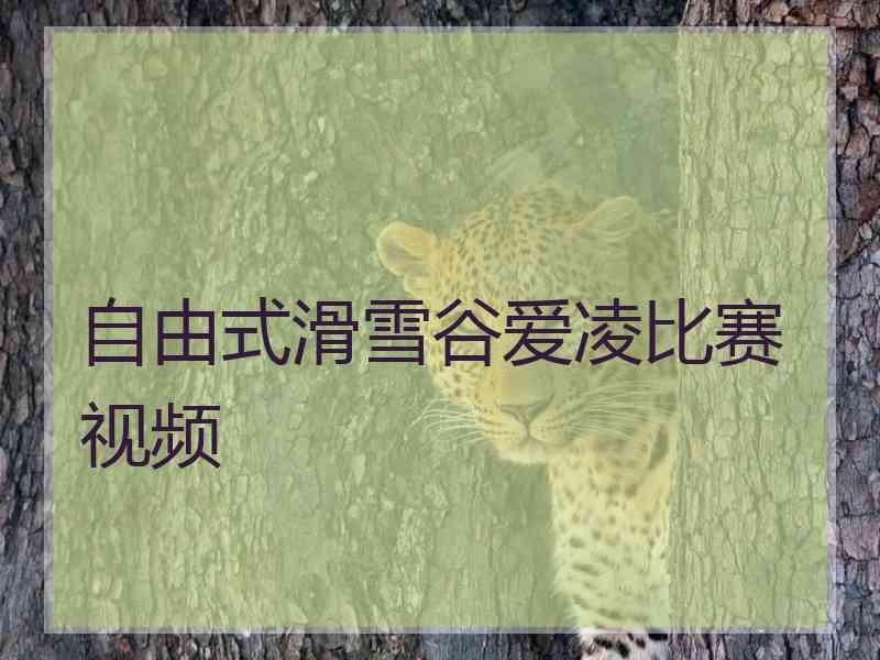 自由式滑雪谷爱凌比赛视频