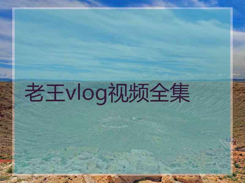 老王vlog视频全集