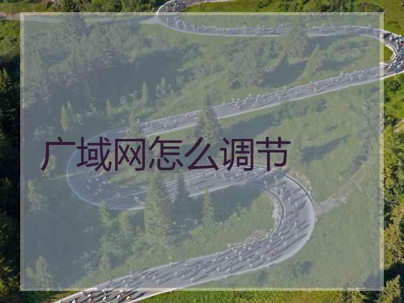 广域网怎么调节