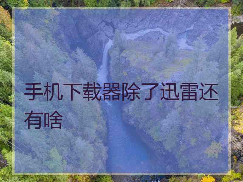 手机下载器除了迅雷还有啥