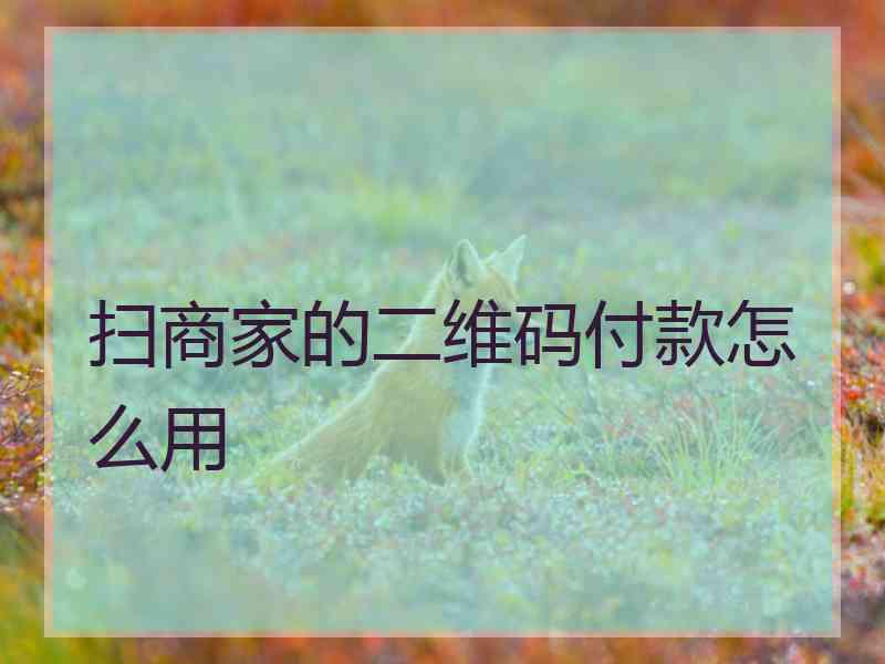 扫商家的二维码付款怎么用