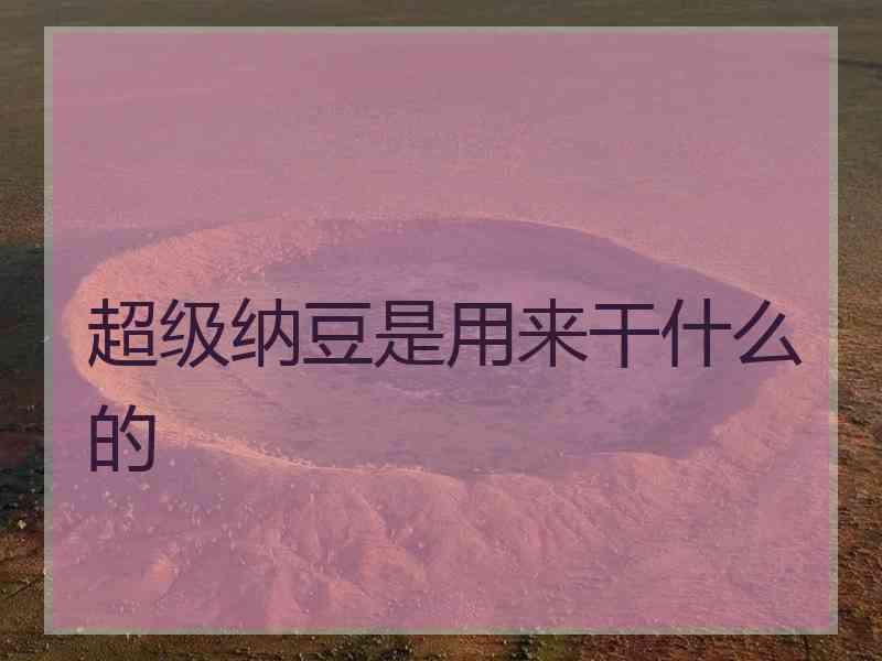 超级纳豆是用来干什么的
