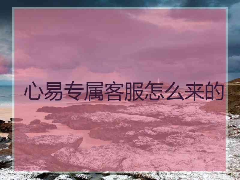 心易专属客服怎么来的