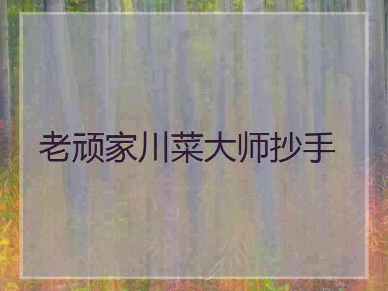 老顽家川菜大师抄手