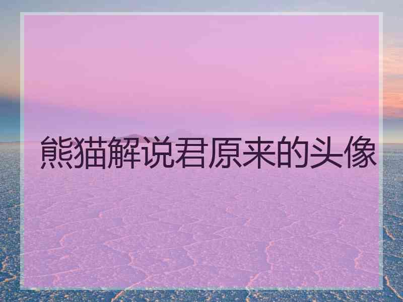 熊猫解说君原来的头像