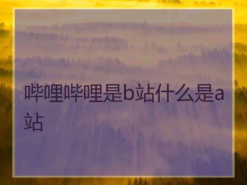 哔哩哔哩是b站什么是a站