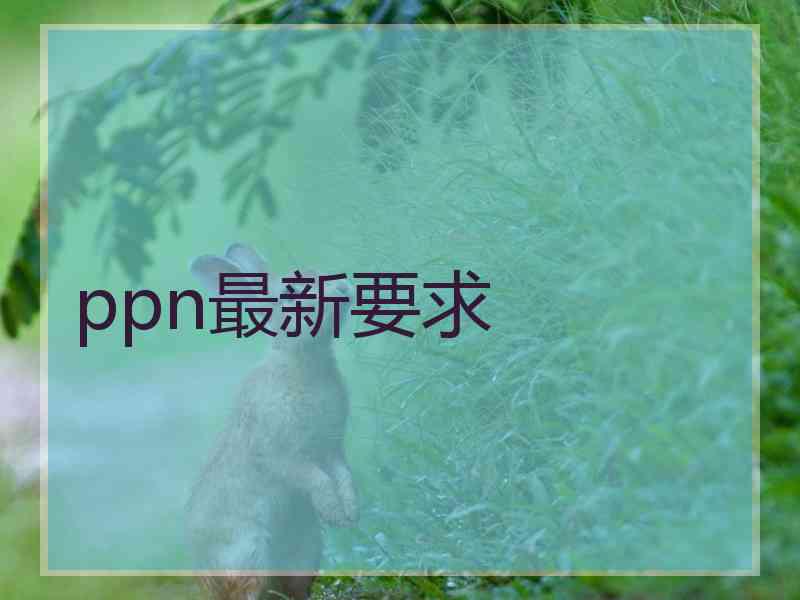 ppn最新要求
