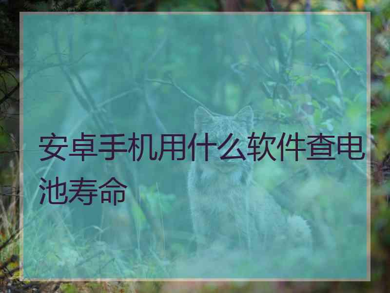 安卓手机用什么软件查电池寿命