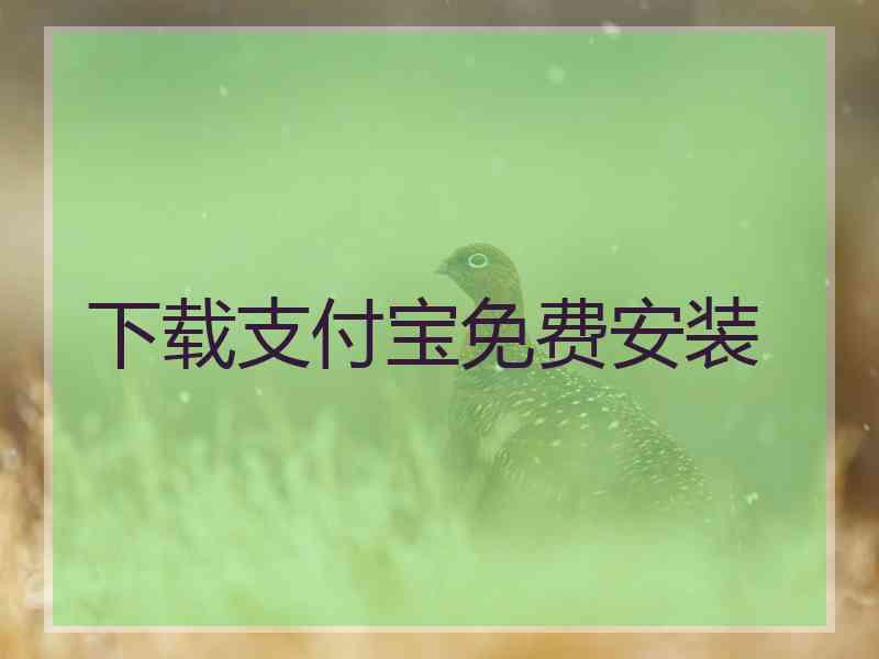 下载支付宝免费安装