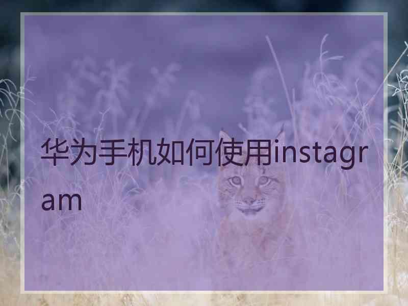 华为手机如何使用instagram