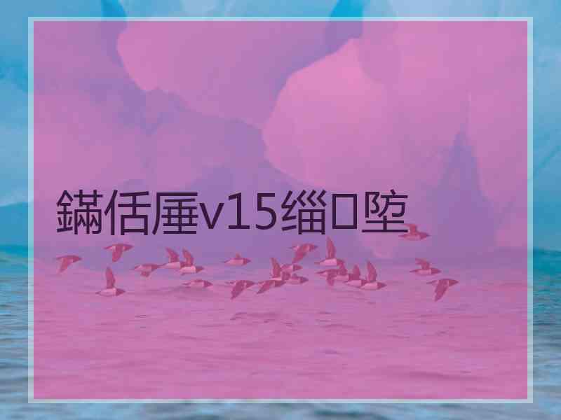鏋佸厜v15缁埅