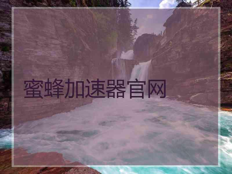 蜜蜂加速器官网