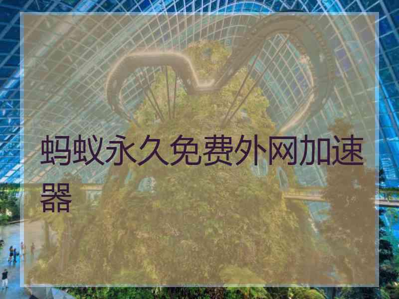 蚂蚁永久免费外网加速器